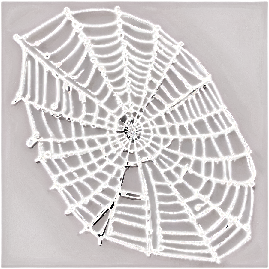 Dewy Spider Web Art