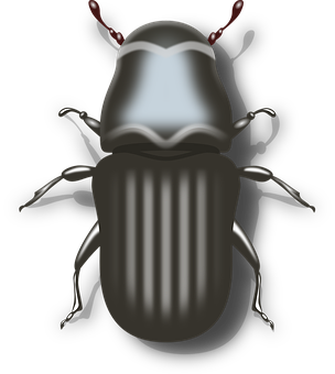 Digital Art Beetle Illustration PNG with transparent background
