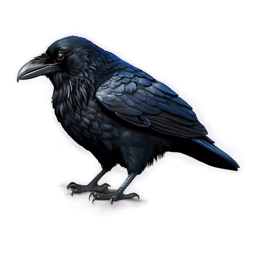 Digital Art Raven Png Och