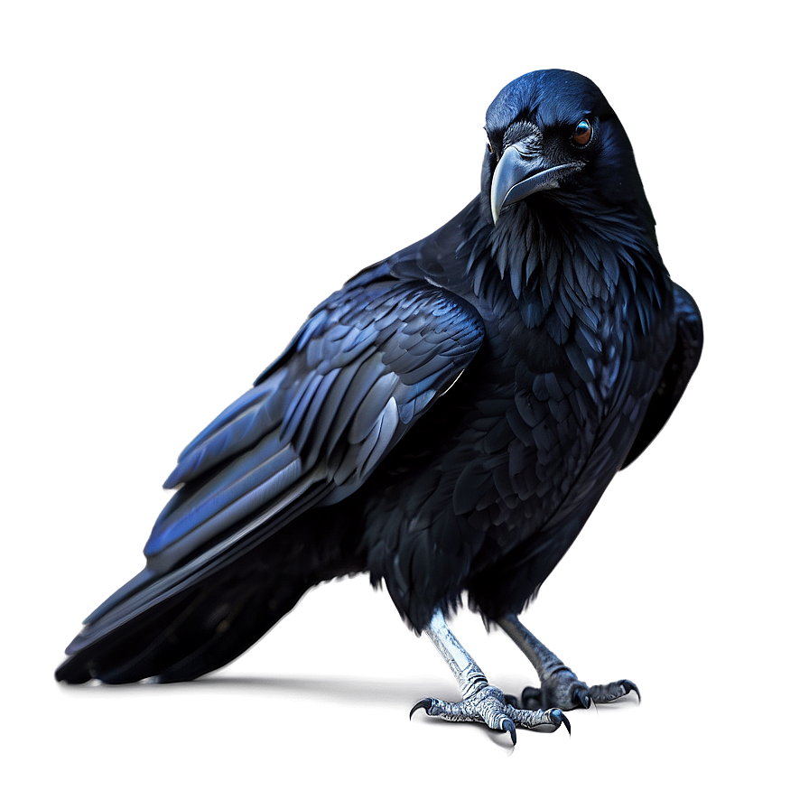 Digital Art Raven Png Swk1