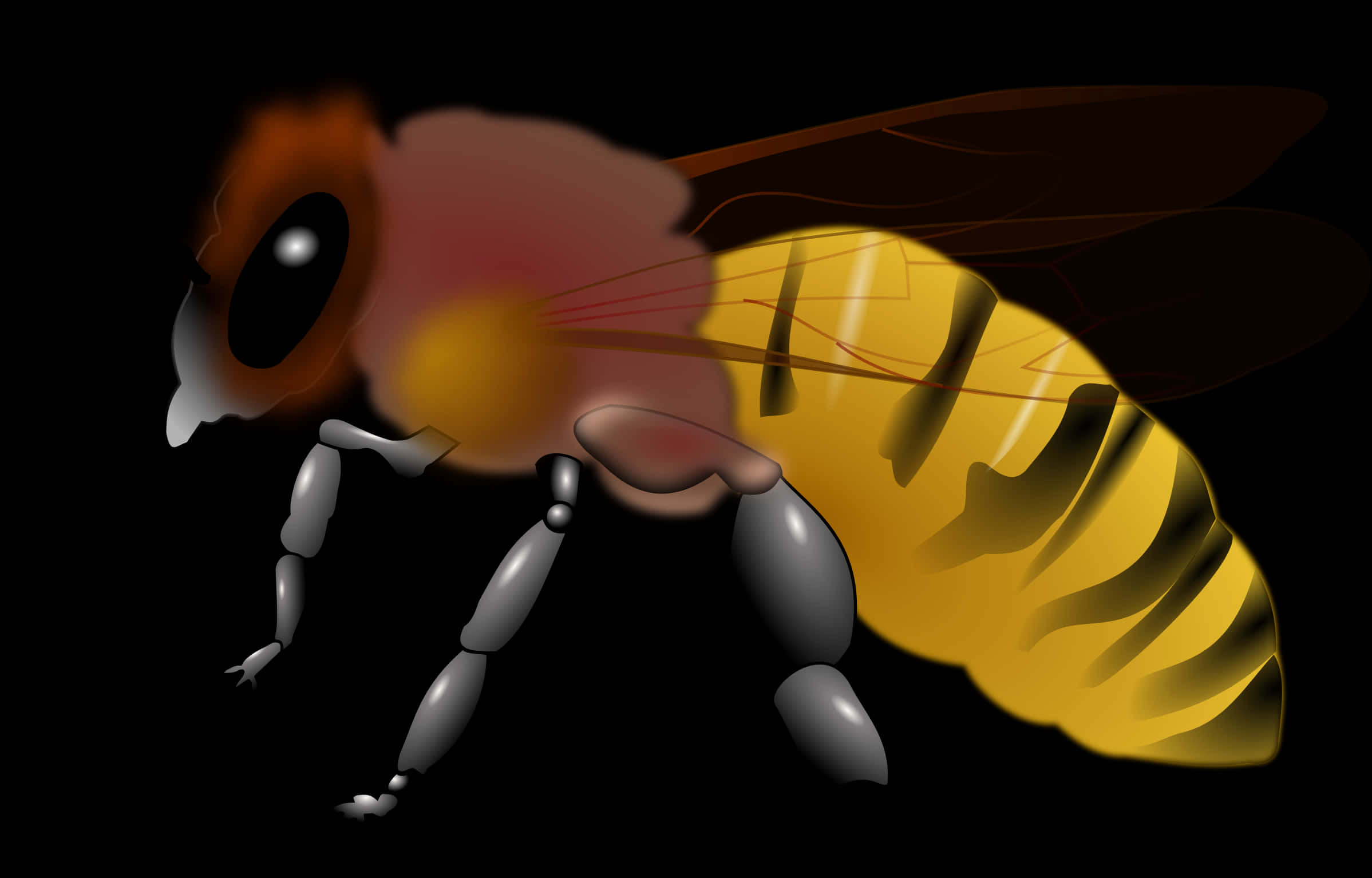 Free Clip Art Honey Bee - Honey Bee Clipart, HD Png Download PNG with transparent background