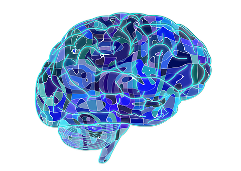 Digital Brain Illustration PNG with transparent background