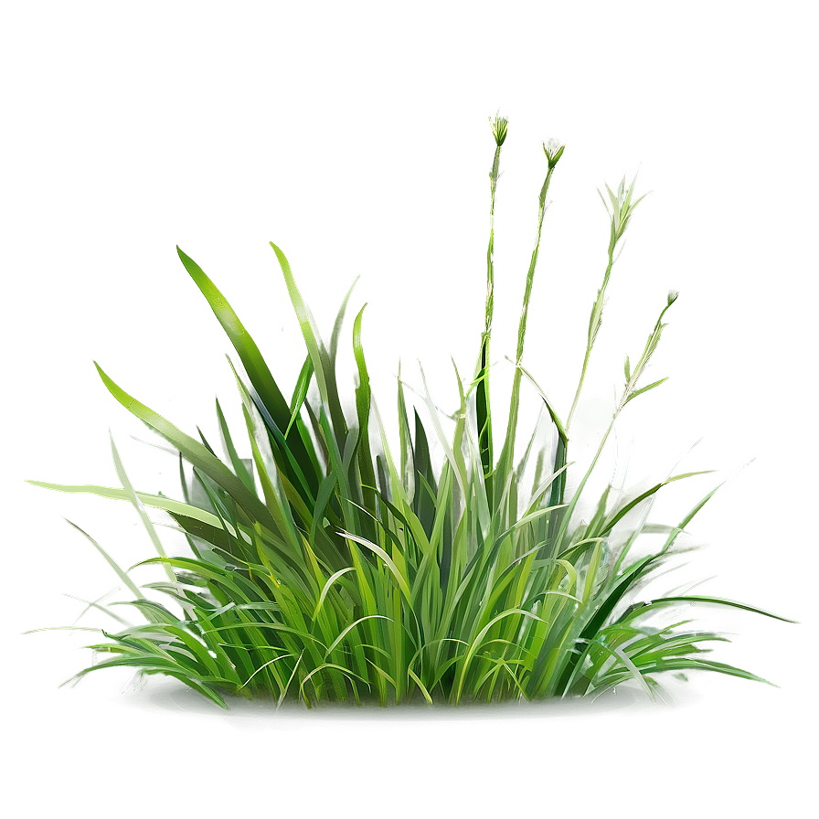 Digital Grass Clipart Png 6