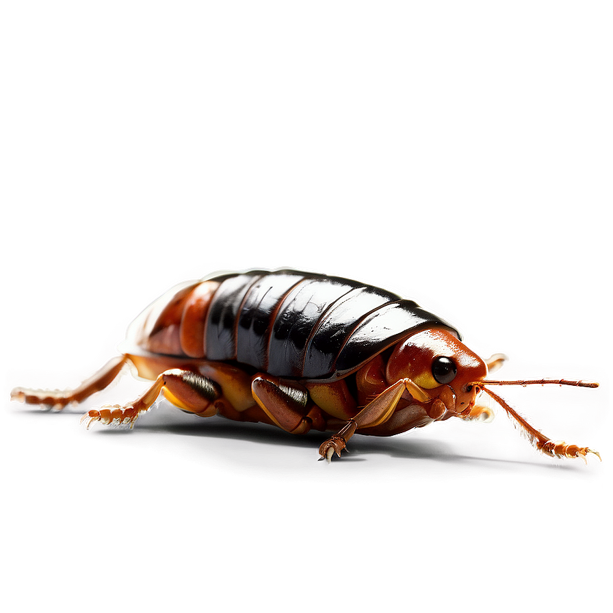 Digital Roach Png 19