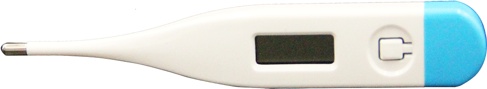 Digital Thermometer Isolated