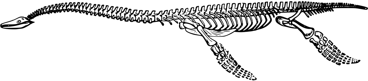 กระดูก ไดโนเสาร์, HD Png Download PNG with transparent background