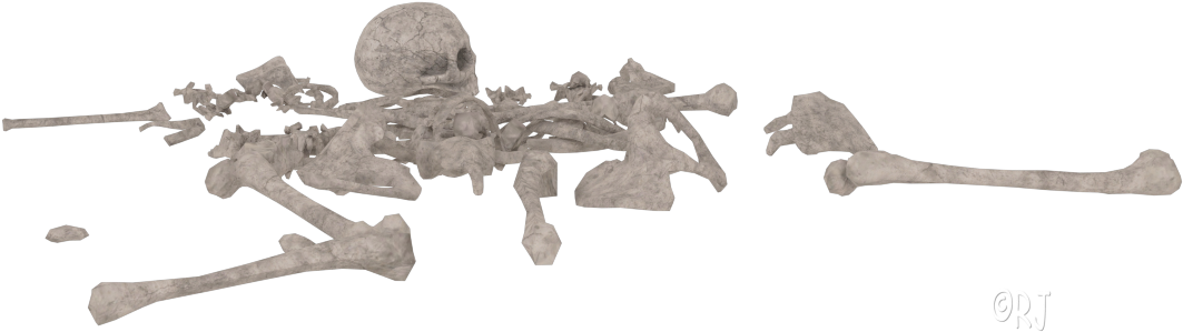 Disassembled Skeleton3 D Model PNG with transparent background