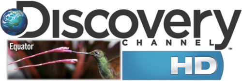 Discovery Channel H D Logowith Hummingbird