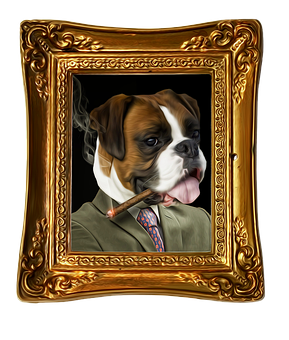 Distinguished Bulldogwith Cigar PNG with transparent background