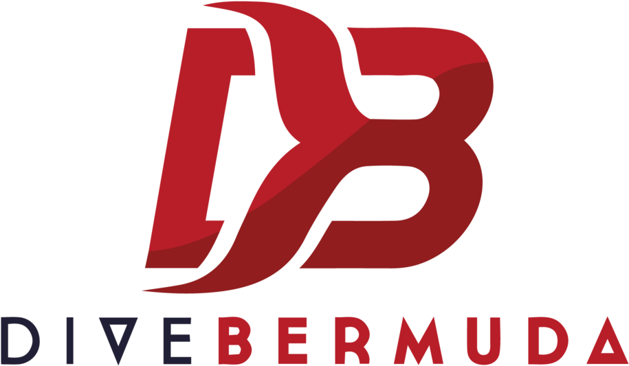 Dive Bermuda Logo Redand Blue