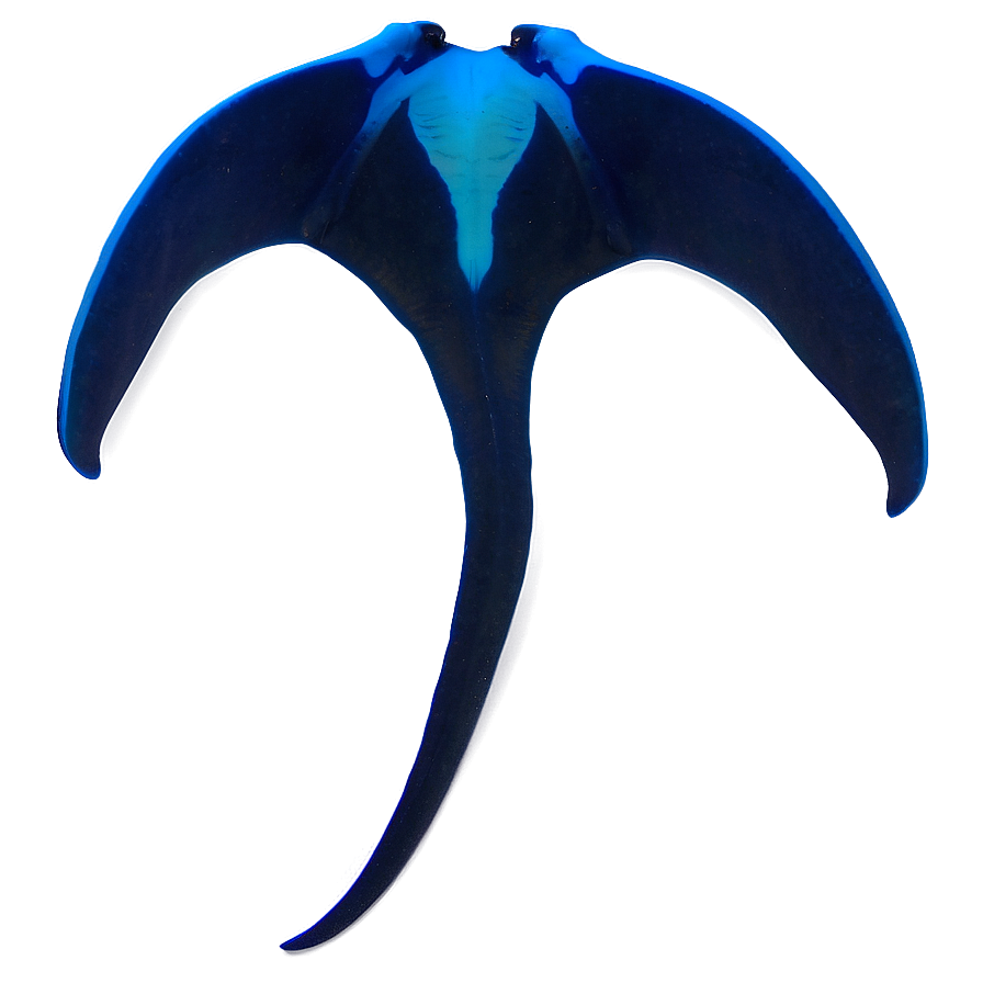 Diving with Manta Rays PNG 06242024 PNG with transparent background