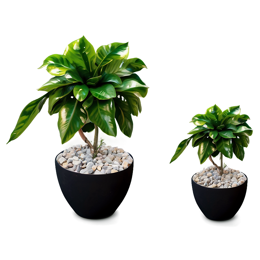 Diy Fake Plant Project Png 86