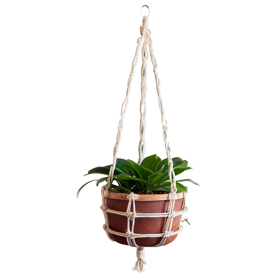 Diy Hanging Plant Png 53