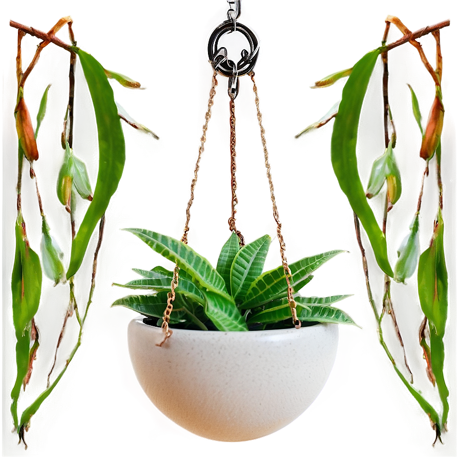 Diy Hanging Plant Png Gmp