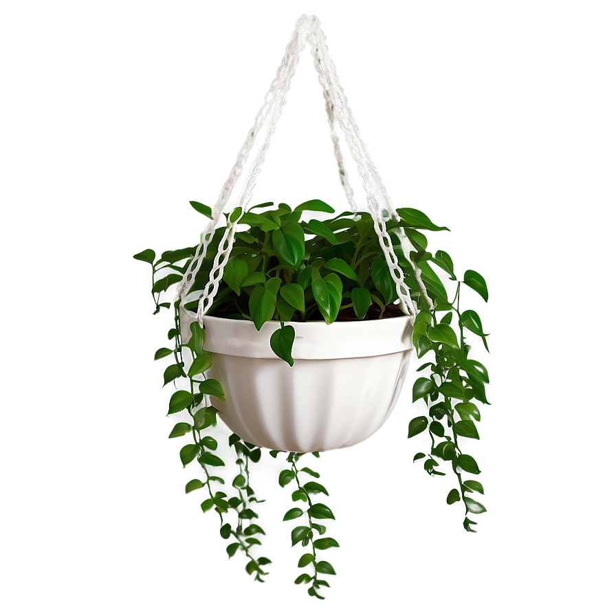 Diy Hanging Plant Png Uhy63