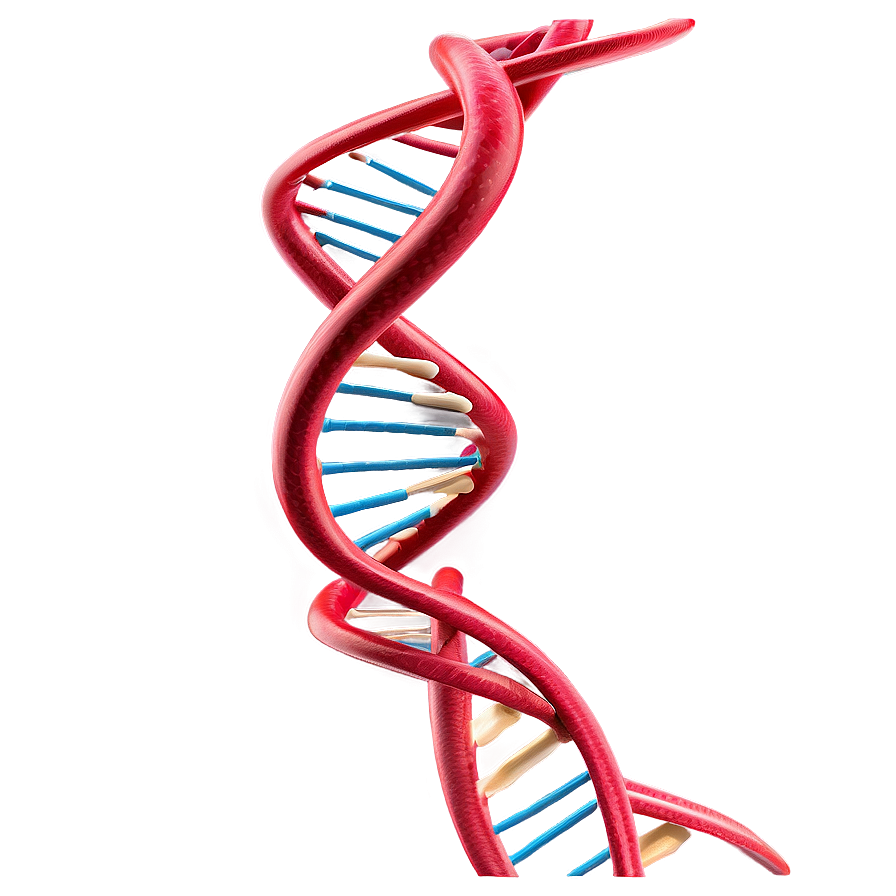 DNA Helix Model PNG kbe9 PNG with transparent background
