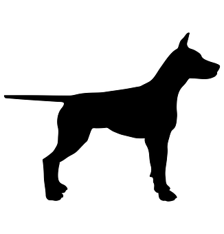 Doberman Silhouette