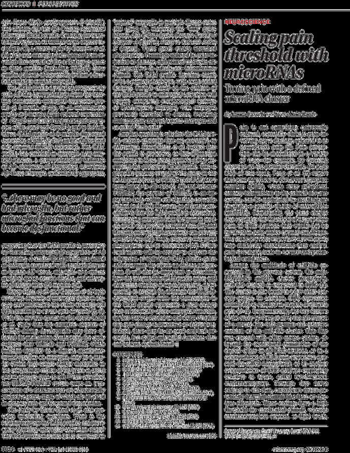Document, HD Png Download PNG with transparent background
