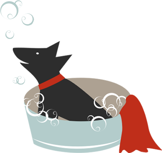 Dog Catches Something, HD Png Download PNG with transparent background