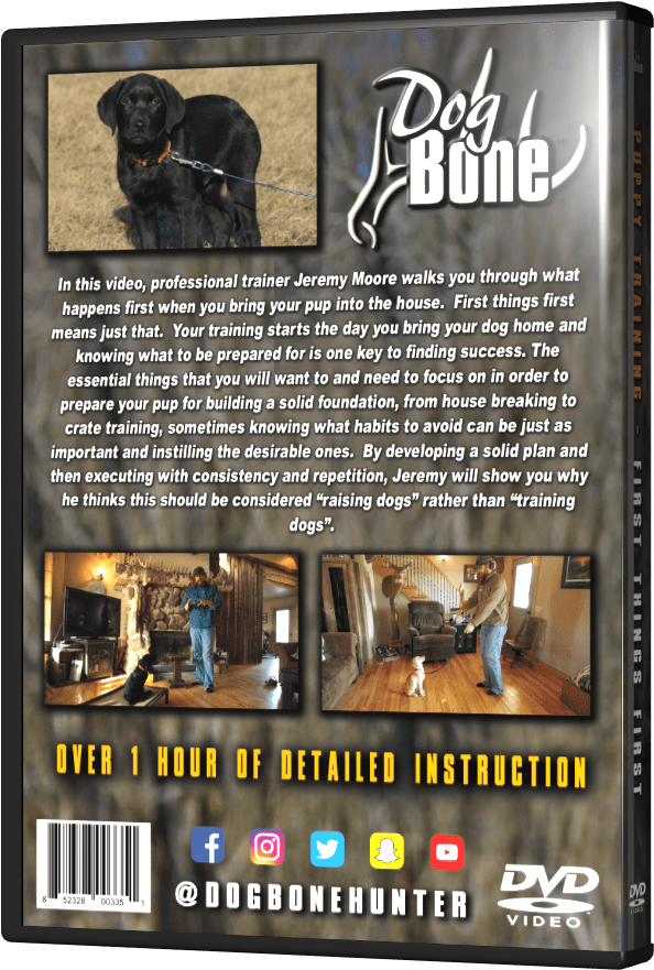 Flyer, HD Png Download PNG image with a transparent background, free high-resolution download