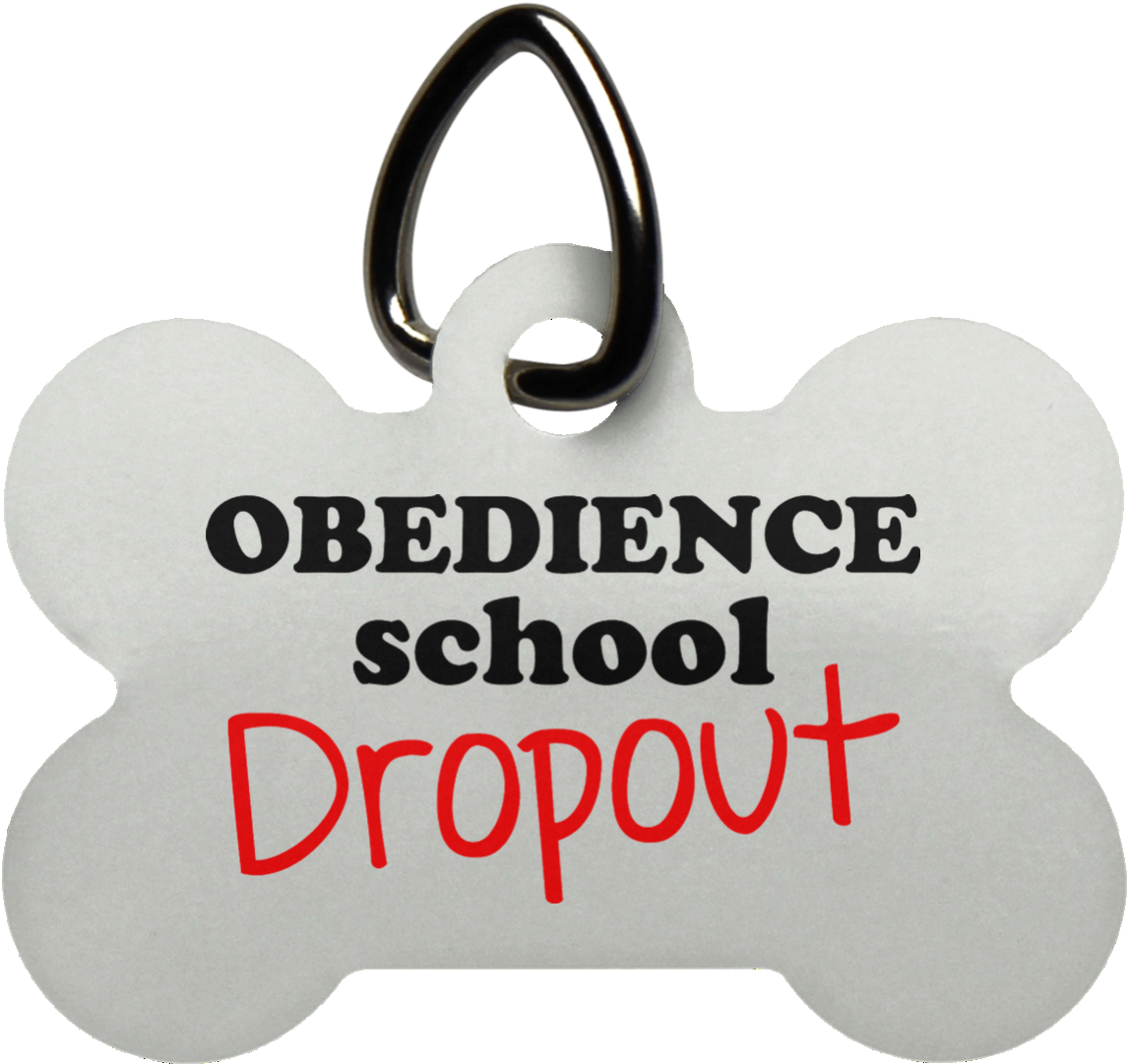 Keychain, HD Png Download PNG image with a transparent background, free high-resolution download