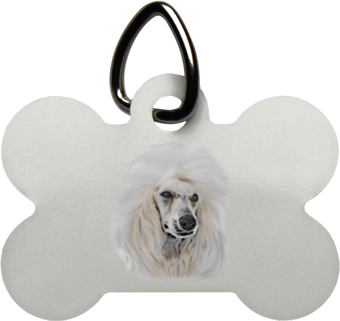 Dog Bone Tagwith Poodle Graphic