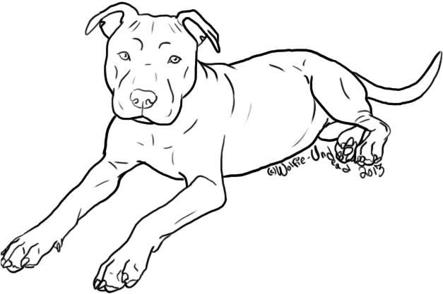 Dog Breed Puppy American Pit Bull Terrier - Outline Of A Pitbull, HD Png Download PNG with transparent background