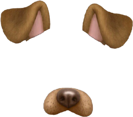 Dog Face Filter Elements.png