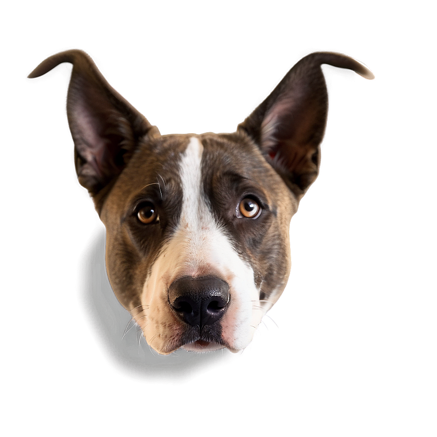 Dog Face With Ears Up Png 96