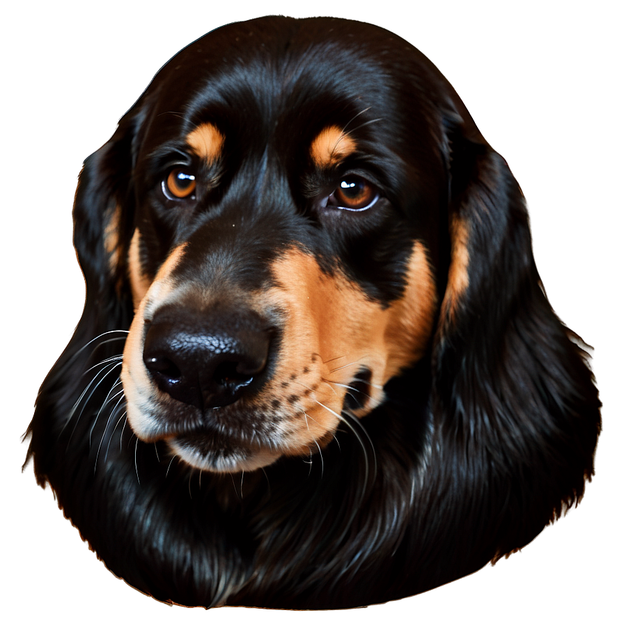 Dog Head Icon Png 55