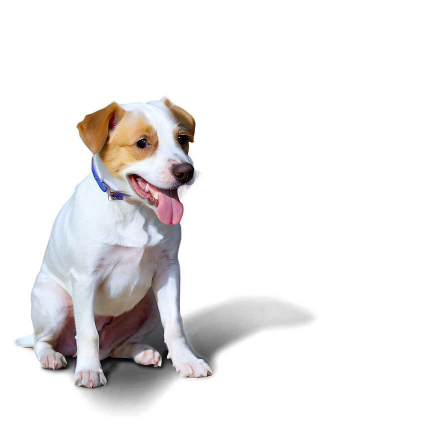 Dog In Costume Transparent Png Idr