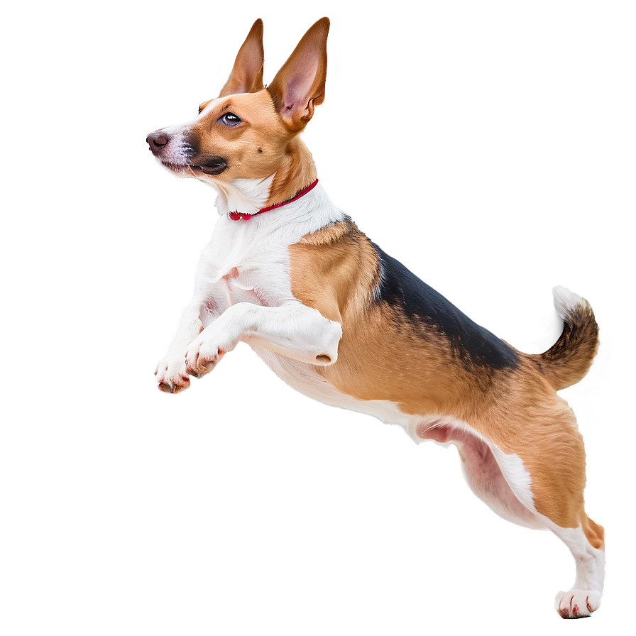 Dog Jumping Transparent Png Iek33