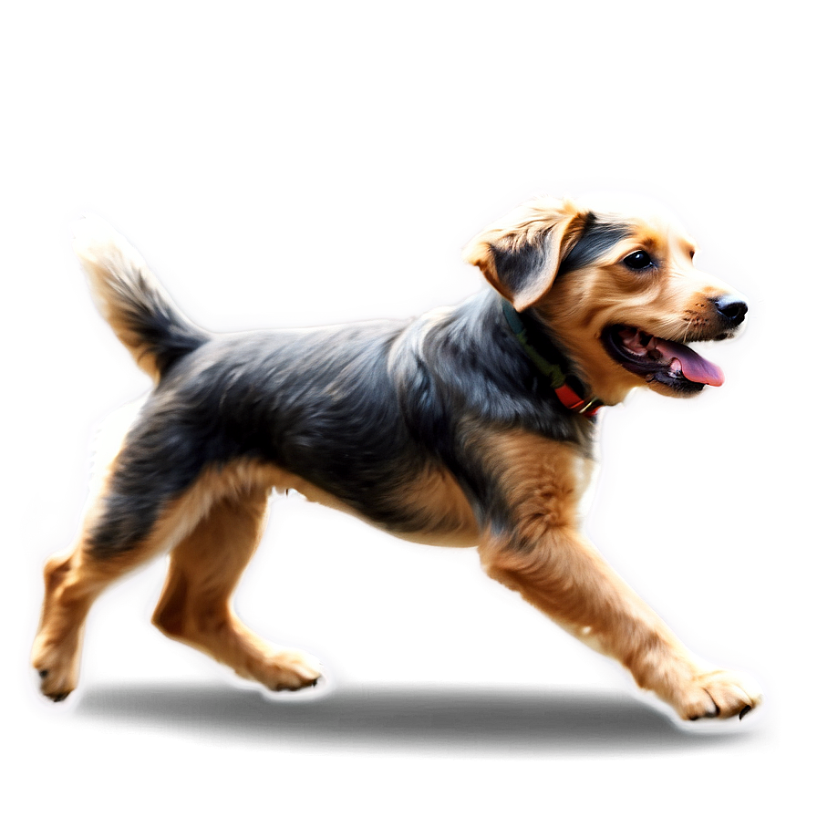 Dog Running Side View Png 06132024