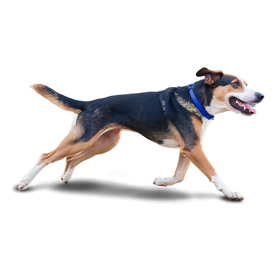 Dog Running Side View Png Fsp34