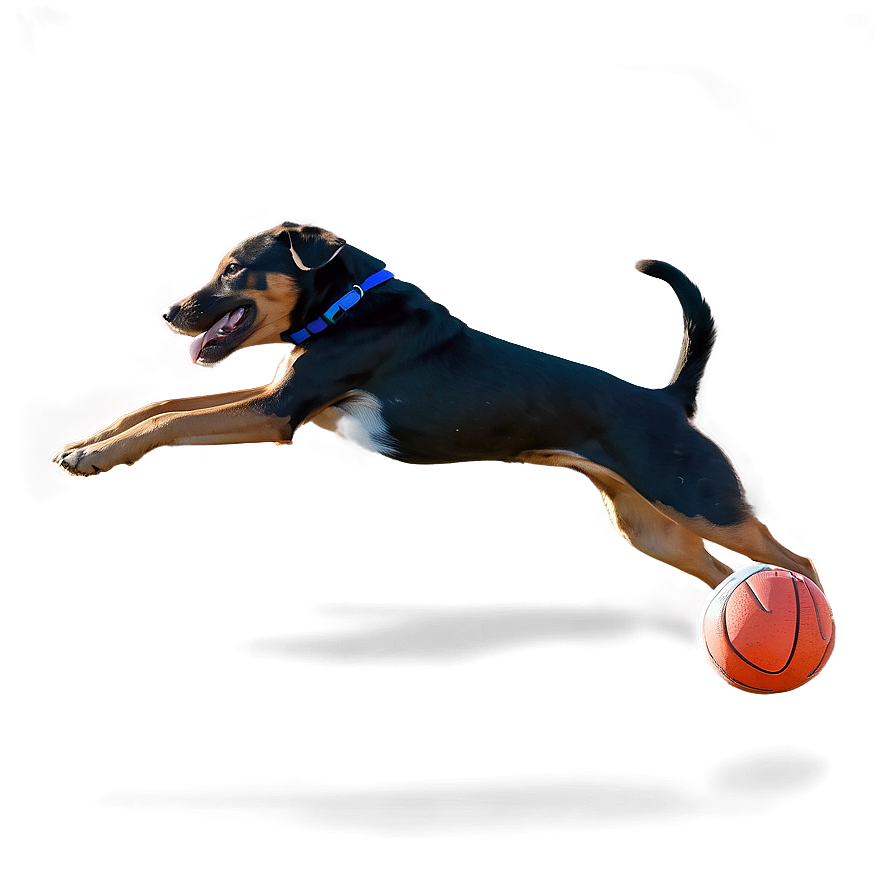 Dog Running With Ball Png Xje