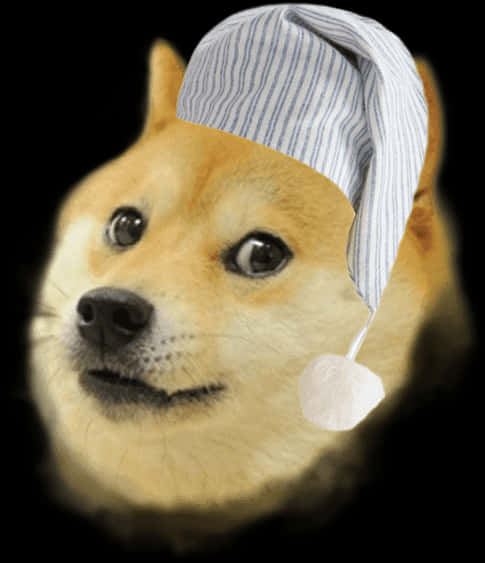 Doge In Sleep Cap Meme PNG with transparent background