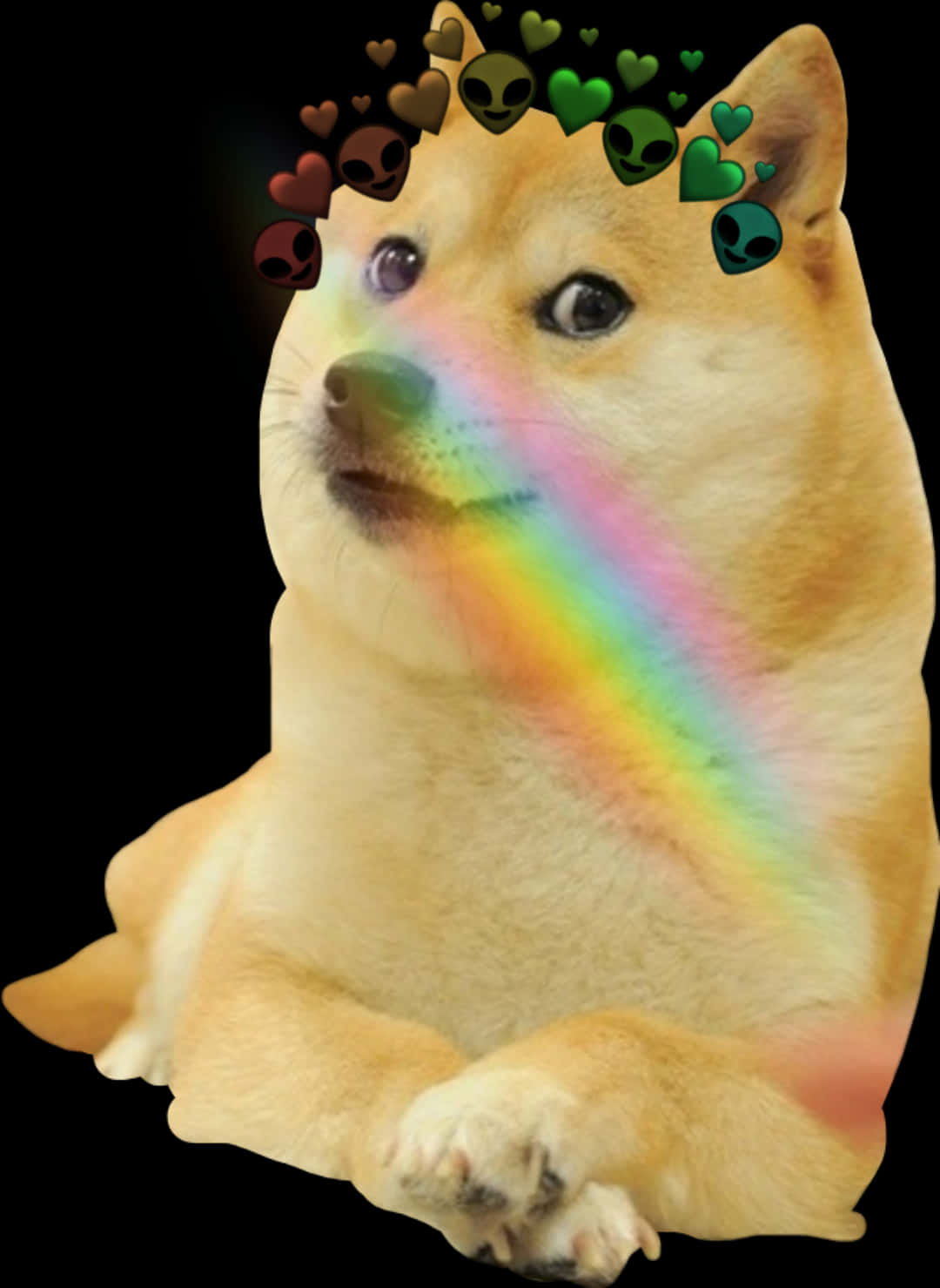 Doge_ Rainbow_ Meme.jpg PNG with transparent background