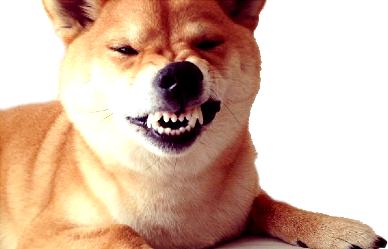 Dogecoin Inspired Shiba Inu PNG with transparent background