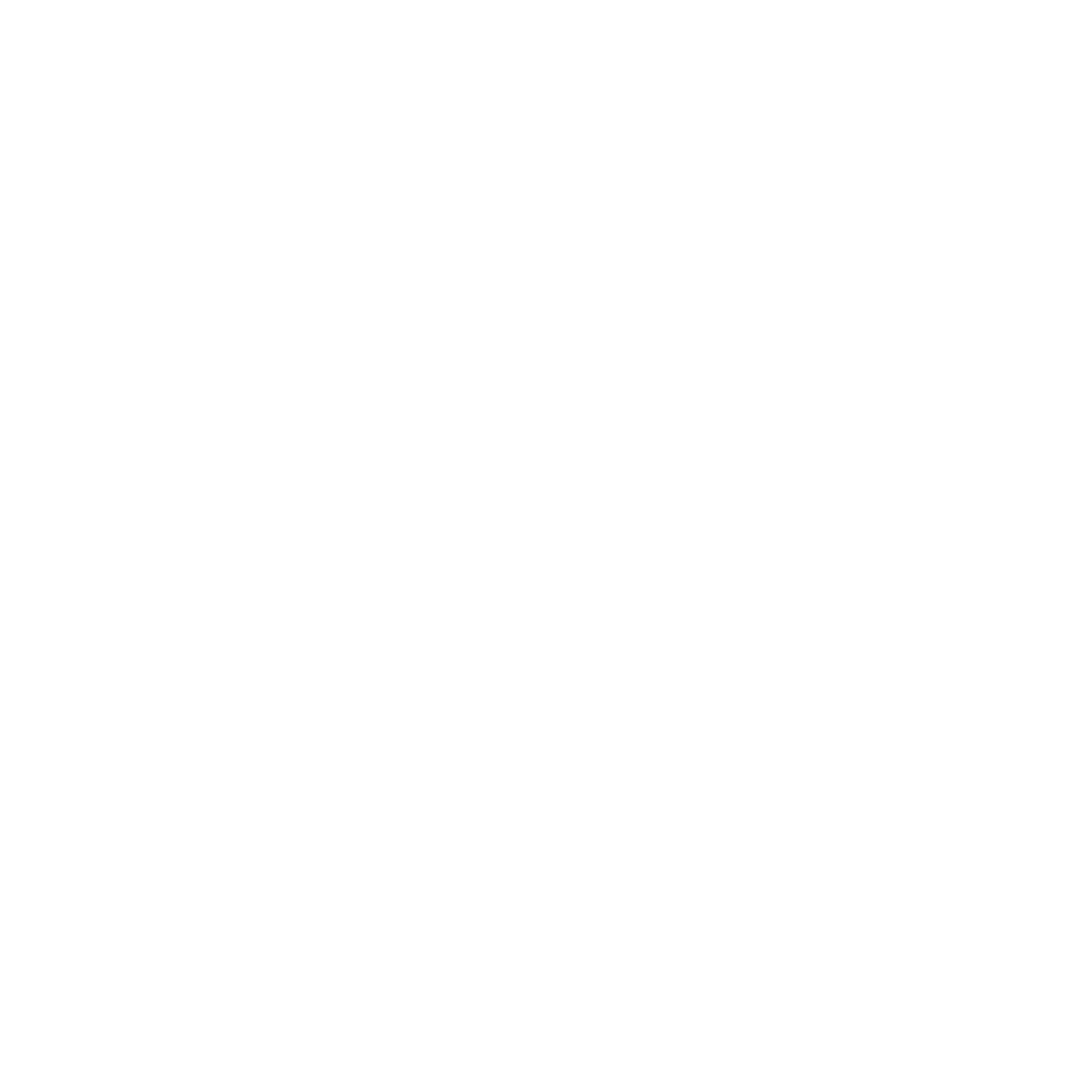 Dogecoin Logo Graphic