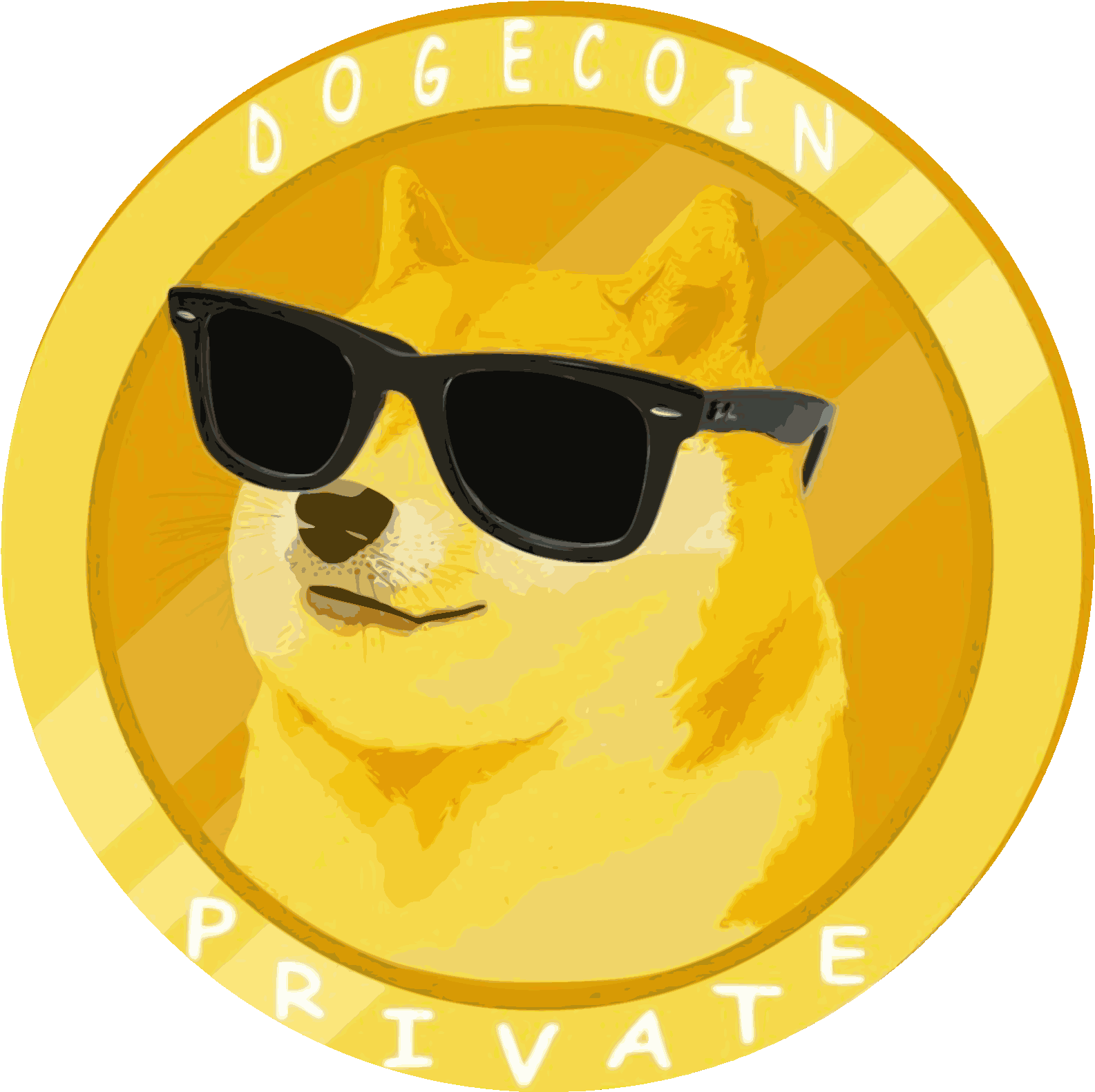 Dogecoin Private Sunglasses Coin Design PNG with transparent background