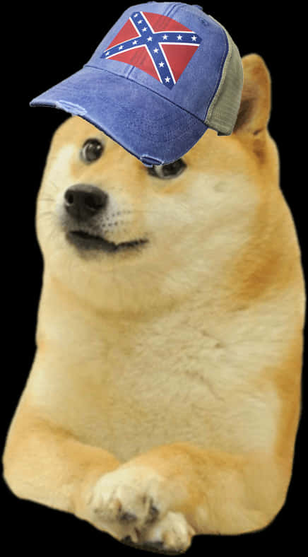 Doge_with_ Confederate_ Cap PNG with transparent background