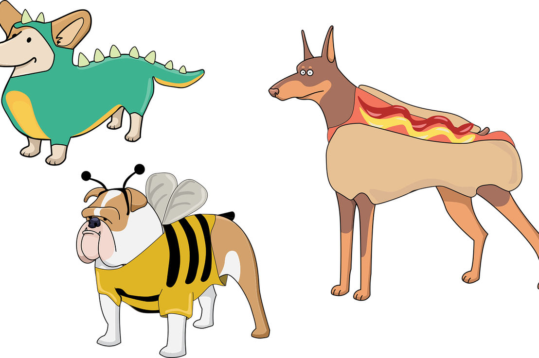 Halloween Pirate Dog, Halloween Clipart, Pirate, Skeleton - Cartoon Dog With Halloween Costume, HD Png Download PNG image with a transparent background, free high-resolution download