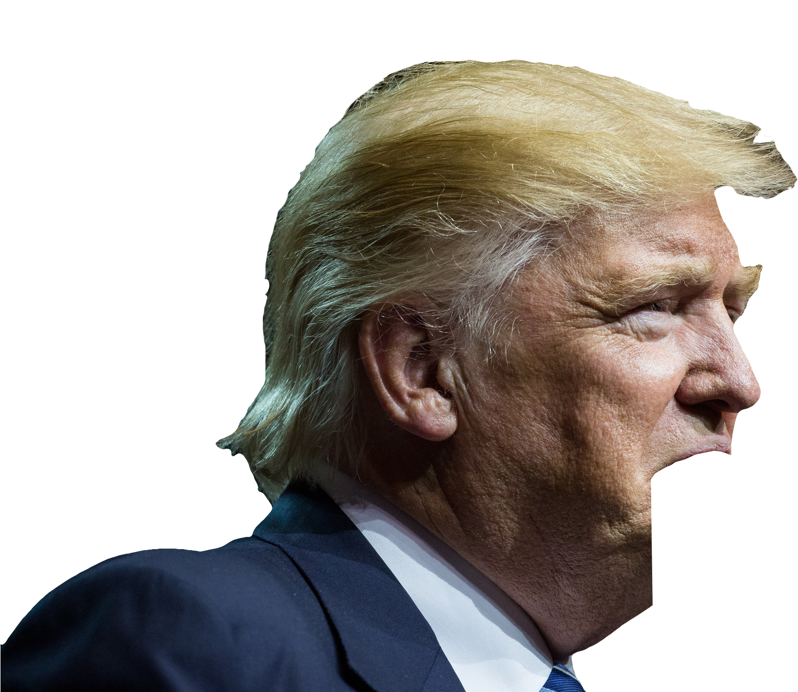 Donald Trump Fear, HD Png Download PNG with transparent background