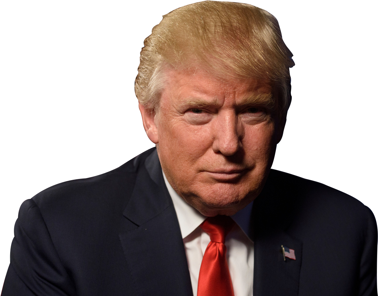 Donald Trump Png Image - Trump Will Lose 2020, Transparent Png PNG with transparent background