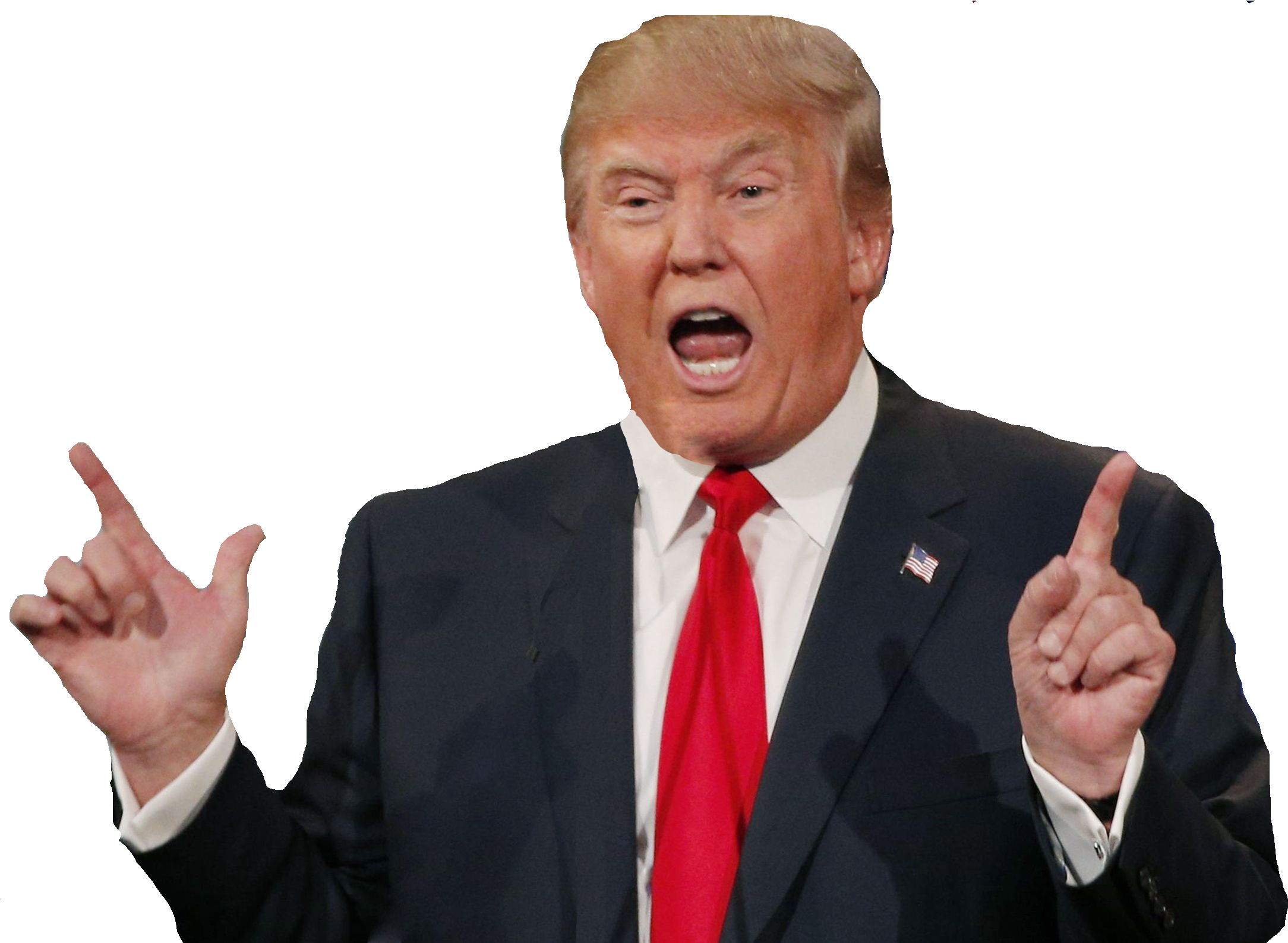 Donald Trump Png, Transparent Png PNG with transparent background