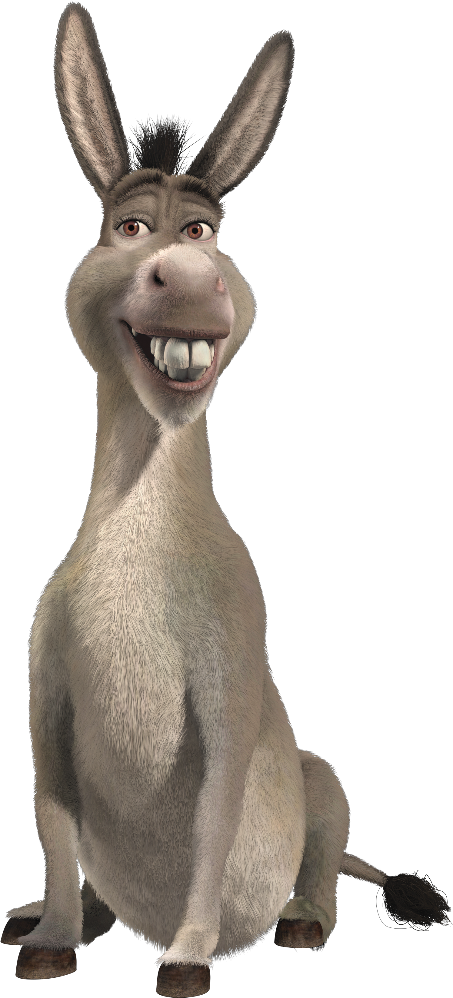 Donkey_ Character_ Shrek_ Movie.png