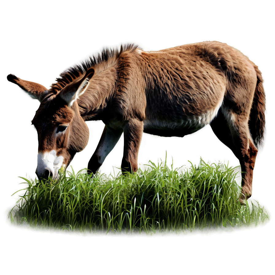 Donkey Eating Grass Png Ele