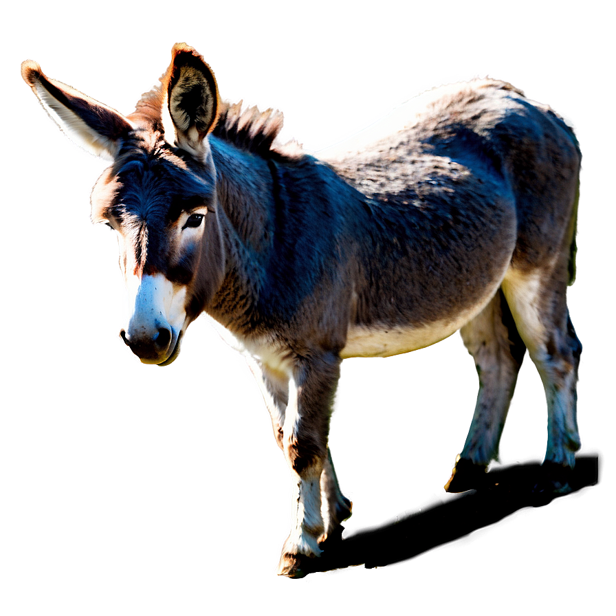 Donkey In Farmyard Png 44