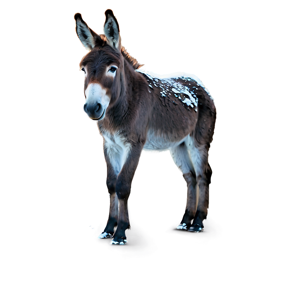 Donkey In Snow Png Bjx