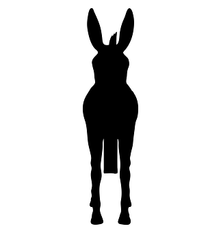 Donkey Silhouette Graphic